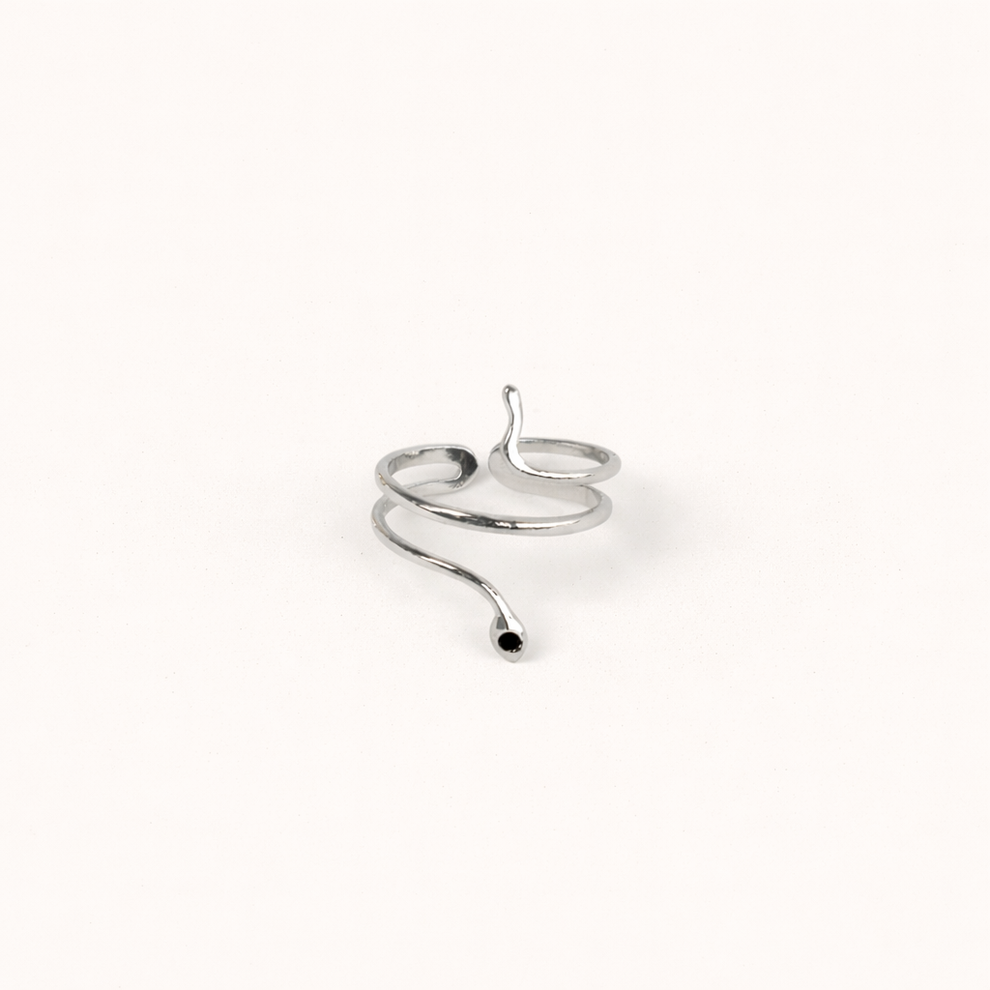 Ring Slang