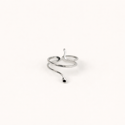 Ring Slang